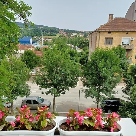 Eva * Gornji Milanovac